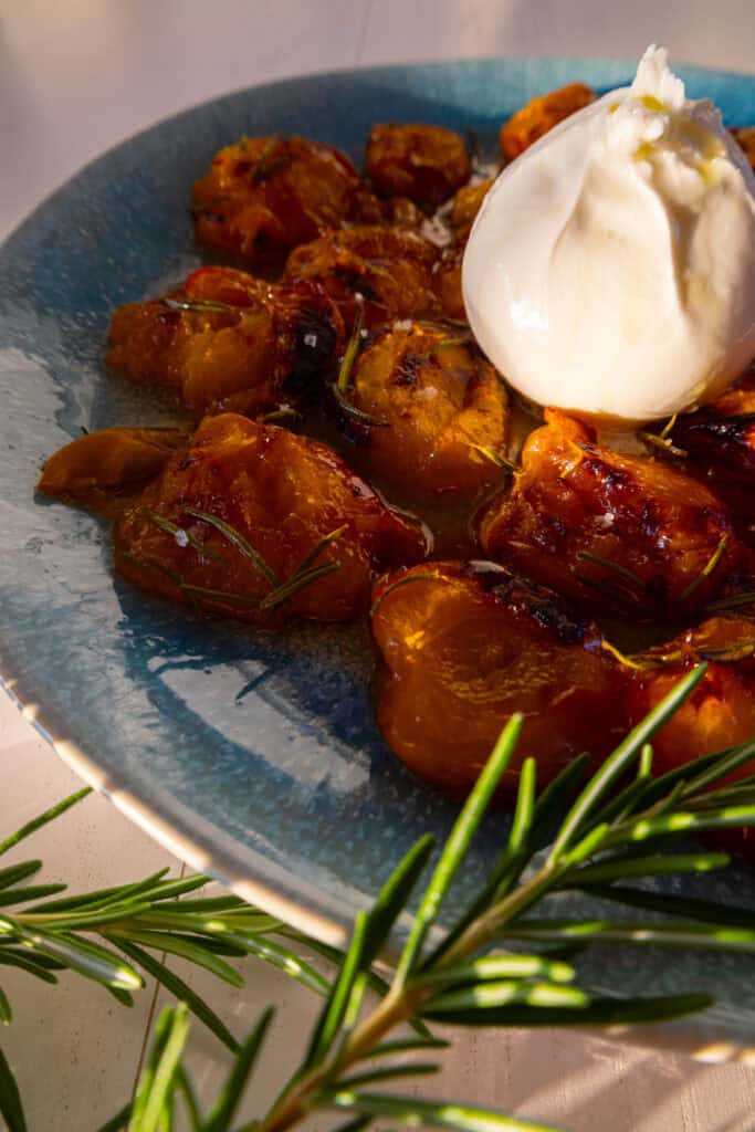 Ofenaprikosen mit Burrata
