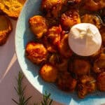 Ofenaprikosen mit Burrata