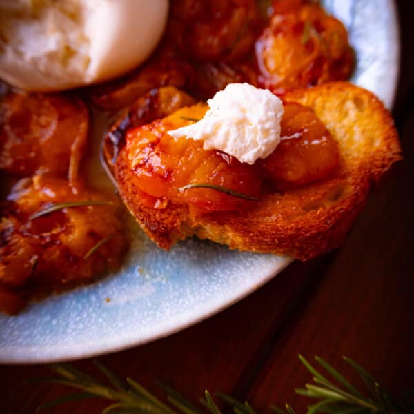 Ofen-Aprikosen mit Burrata