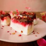 Gefrorene Joghurt-Himbeer-Bites mit Schokolade