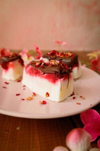 Gefrorene Joghurt-Himbeer-Bites mit Schokolade – Sommer-Snack