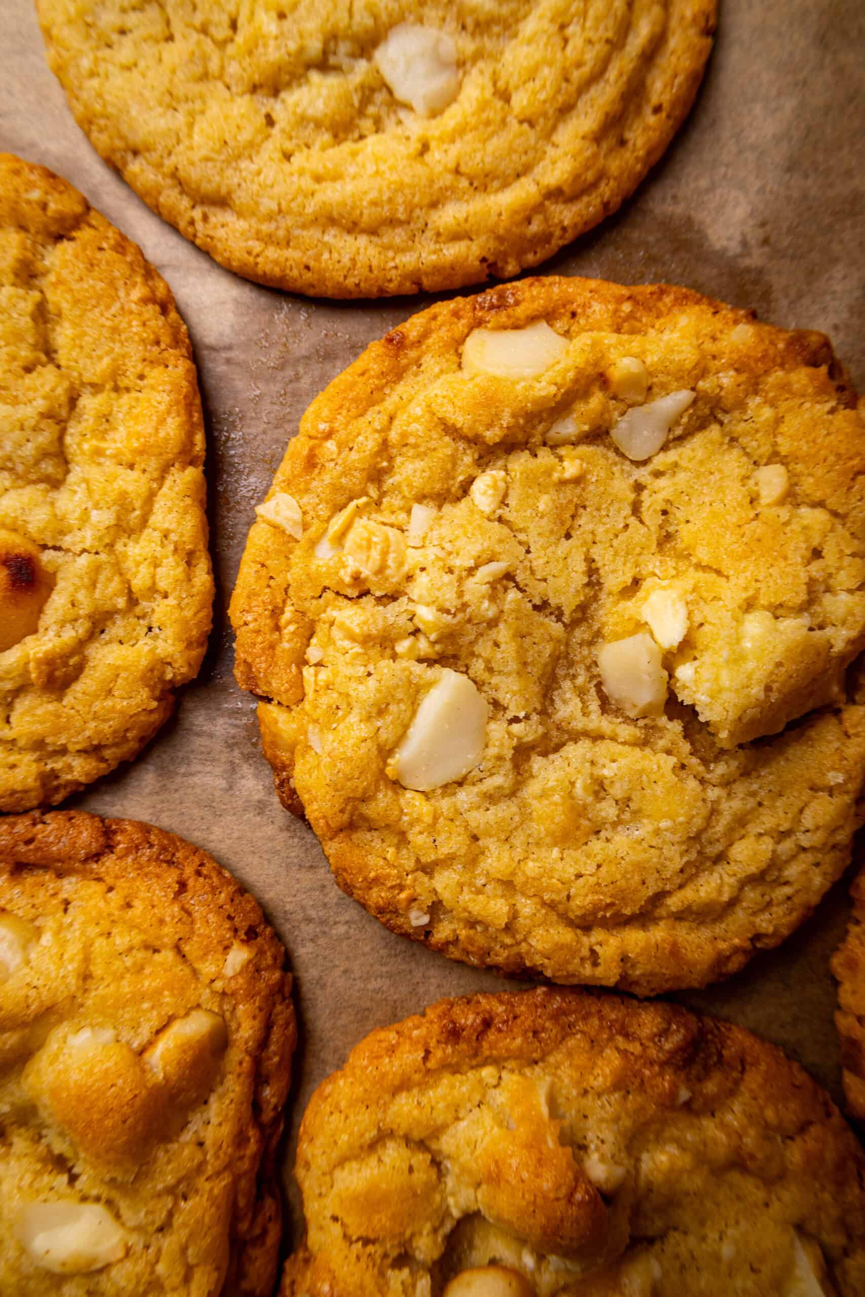 Weiße Schokoladen Macadamia Cookies wie Subway – soft & chewy